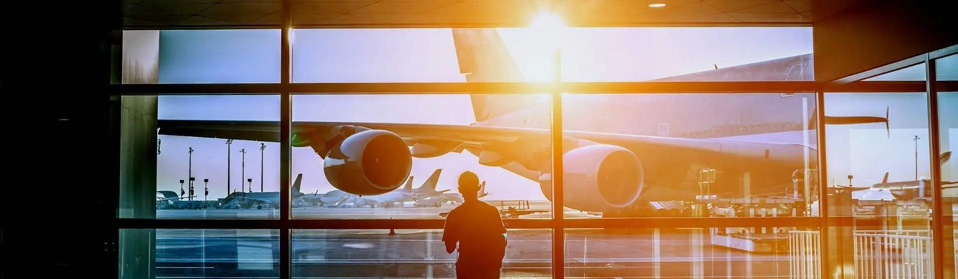 airline pricing trends